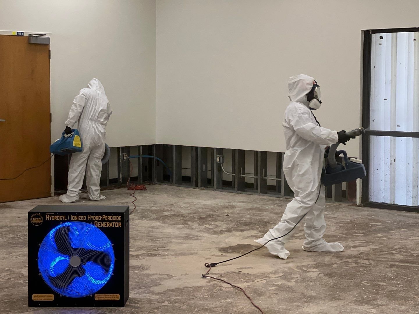 MOLD REMEDIATION