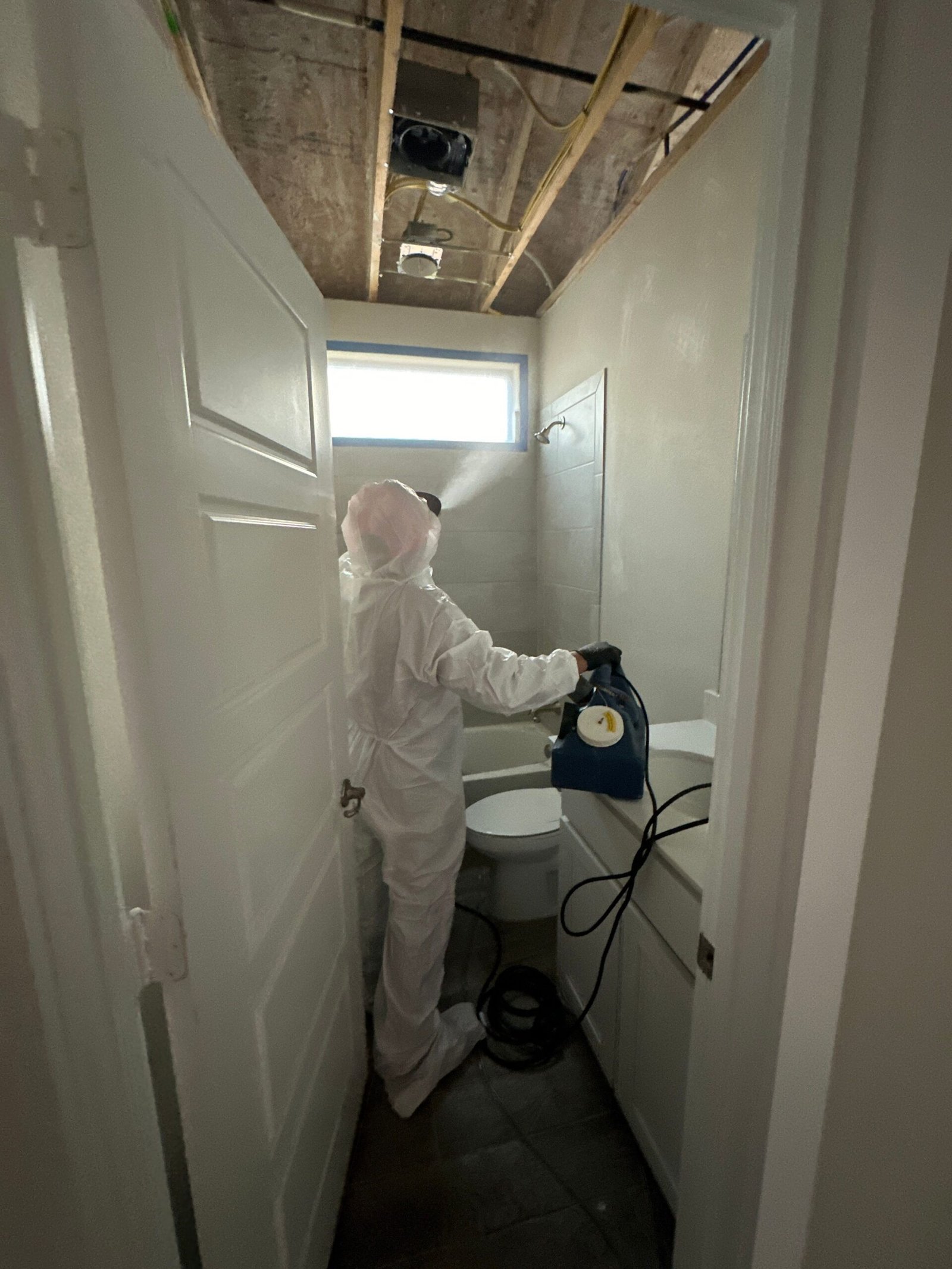 MOLD