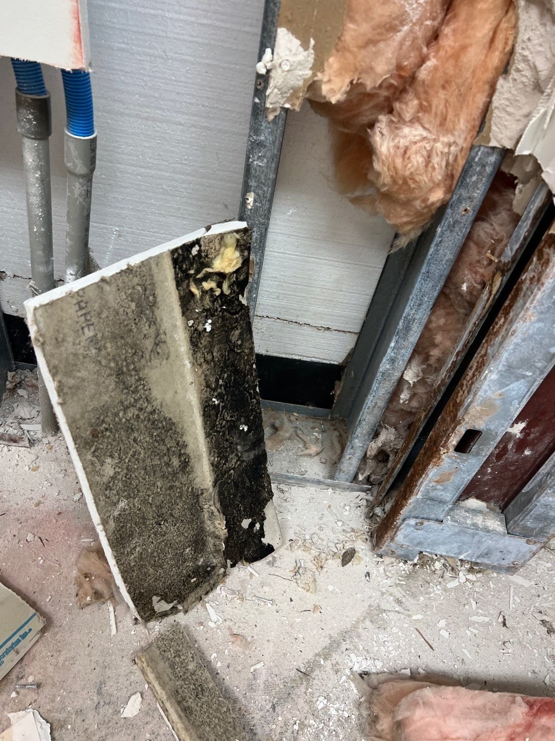 MOLD(1)