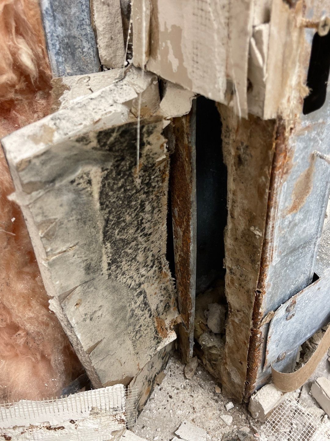 MOLD(3)